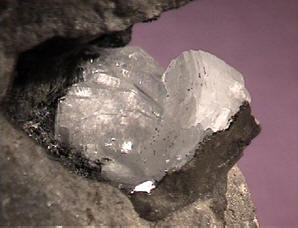 The most powerful member of the zeolite family (clinoptilolite) in its raw form